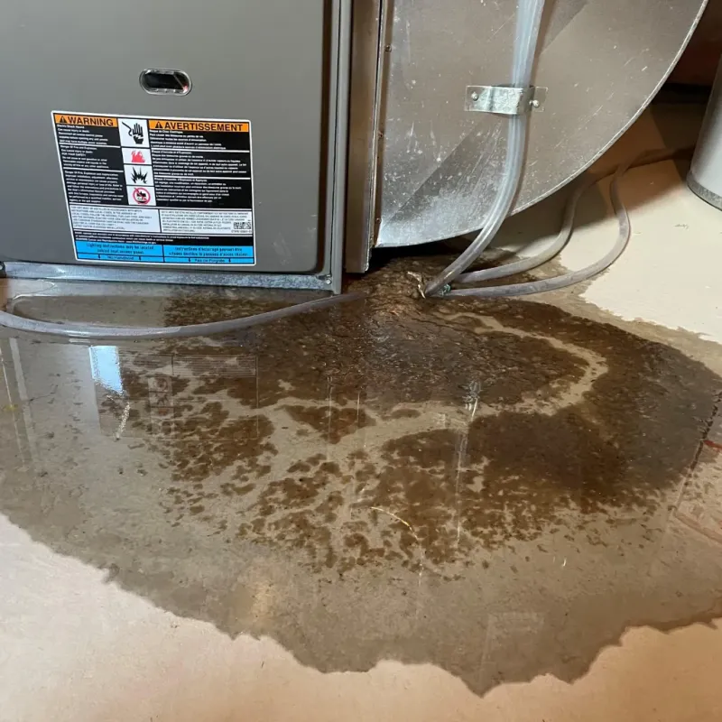 Appliance Leak Cleanup in Waianae, HI