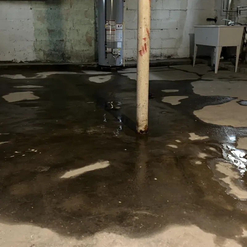 Emergency Water Extraction And Removal in Waianae, HI